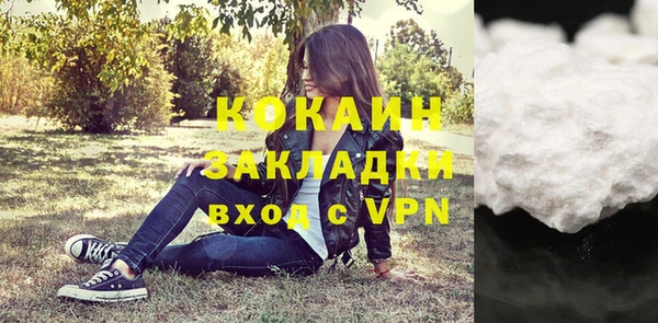 тгк Арсеньев