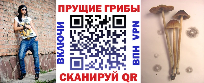 Псилоцибиновые грибы Psilocybine cubensis площадка формула Баймак kraken вход